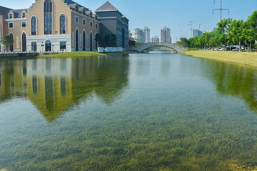 5c1c6441ef3a6.jpg 11.jpg