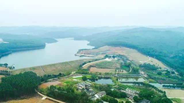 5d841111277a0.png 3.png